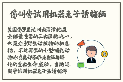 美女麻豆辛巴1区二区3345